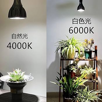 Amazon.co.jp: 24W 植物育成ライト LED E26口金 昼白色 6000k